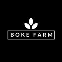 Boke Farm Zambia logo - Similar company to Crownhunt