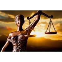 TOLEDO & MENEZES ADVOCACIA logo - Similar company to Move My Market