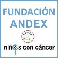 Fundacion Andex (Asociación de Padres de niños con Cáncer) logo - Similar company to Happy Inc