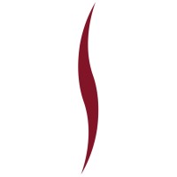 Satya Capital logo - Similar company to Vantage Point
