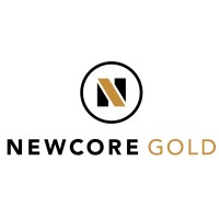 Newcore Gold logo - Similar company to Ricca Resources