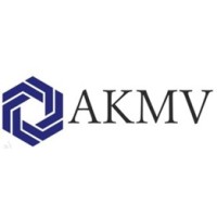 AKMV Consultants logo - Similar company to Soar Beyond Ventures