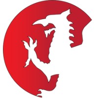 Dragon Executive Management Ltd logo - Similar company to Connected Services (Cs)