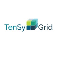 TenSyGrid Project logo - Similar company to Dcforeu
