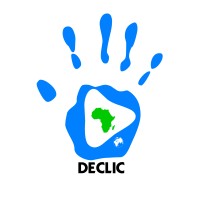 DECLICSUD logo - Similar company to Adico - Association Pour Le Développement Et L'Innovation Numérique Des Collectivités
