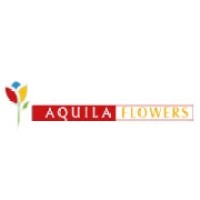 Aquila Flowers logo - Similar company to Braam Roses