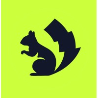 Electrik Squirrel