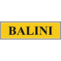 Balini Ingeniería Y Consultoría
