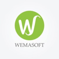 Wemasoft logo - Similar company to Flowtech Africa
