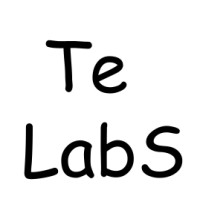 TeLabS logo - Similar company to Dparadig