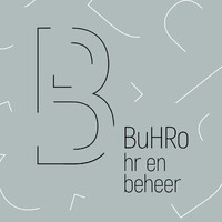 BuHRo logo - Similar company to Lecot-Biermans