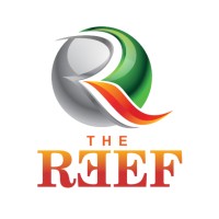 The Reef Detroit