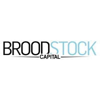 Broodstock Capital logo - Similar company to Nualpha Capital Management