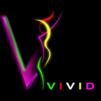 Vivid Trading LLC logo - Similar company to Muscat Projects & Environmental Services Llc