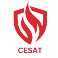 CESAT: Clean Energy Safety and Training Council of Canada logo - Similar company to Iit Madras Diploma Programs