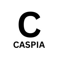 Caspia Data Consultancy logo - Similar company to Computask Ltd
