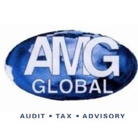 AMG Global logo - Similar company to Acumen Internal Audit Zw