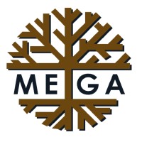 Mega Asesores