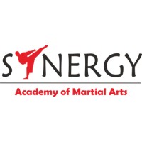 Synergy Academy of Martial Arts logo - Similar company to True Martial Arts