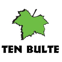 Ten Bulte logo - Similar company to Orit B.V.