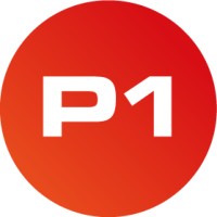P1 Security logo - Similar company to N'Sinia
