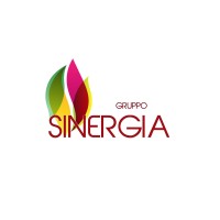 Gruppo Sinergia logo - Similar company to Risa Group