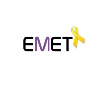 EMET Group logo - Similar company to Chayon Technologies