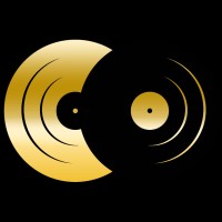 worldvoice GmbH logo - Similar company to Tonstudio Gress - Music And Sound Design