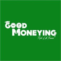 Good Moneying Wealth Planners Pvt Ltd logo - Similar company to Pmstimes