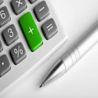 Plus Bookkeeping Services, Inc. logo - Similar company to Brilliant Squirrel Bookkeeping