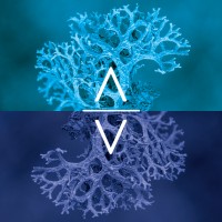 Arvut logo - Similar company to Geoprospec | Consultoria Ambiental E Geotecnia