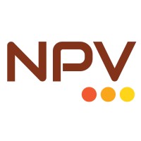 NPV Insolvency Professionals Private Limited logo - Similar company to Npv Valuation Services Llp