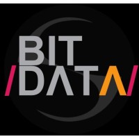 /BIT DΛTΛ/ logo - Similar company to Pacosoft