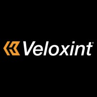 Veloxint logo - Similar company to Micromet Technologies