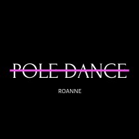 Pole Dance ROANNE logo - Similar company to Pole & Dance