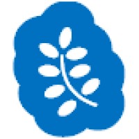 knowledge.city logo - Similar company to Softopshub
