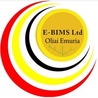 E-BIMS Ltd logo - Similar company to Sms One (U) Limited