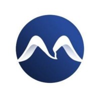MetaOrta logo - Similar company to Internsheep 🐑 | Всё О Стажировках Дизайнеру