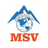 MSV International logo - Similar company to Msv Consultancy