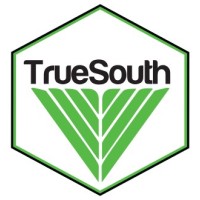 Truesouth (Pty) Ltd logo - Similar company to Tdc | Technology Driven Concepts (Pty) Ltd