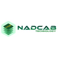 NAYGON TECHNOLOGIES logo - Similar company to Swift It Solutions