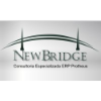 Newbridge Consultoria logo - Similar company to Jaia Software