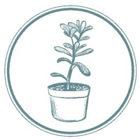 Sante Family Dental logo - Similar company to Angus Dentistry