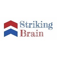 Striking Brain logo - Similar company to Plan N Engage