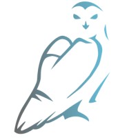 Psychedelic Overground logo - Similar company to Epic • Ethical Psychedelic International Community