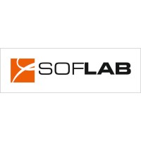 Soflab Services Sp. z o.o. logo - Similar company to Softlab