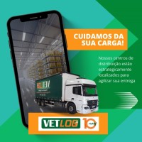 Vetlogmg Transportes e Logística