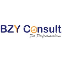 BZY Consult logo - Similar company to Safe Square Pte. Ltd.