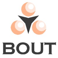 Bout Accountants & Belastingadviseurs logo - Similar company to Dec Nederland
