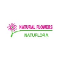 NATURAL FLOWERS, INC logo - Similar company to Natural Flowers